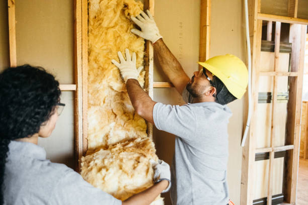 Insulation Inspection Services in Augusta, KY